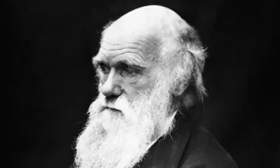 6 valuable lessons Charles Darwin's theory of evolution can teach us about modern-day investing