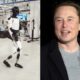 This is how the world reacts to Musk's robot Optimus
