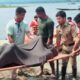 Four fishermen dead in Tripura’s Dumboor Lake (Lead)