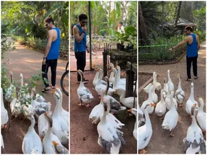 Kartik Aaryan gets mobbed by ducks on his ‘ducks day out’