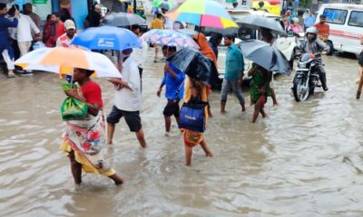 Weather Dept predicts persistent rainfall in northeast