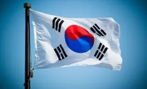 South Korea-built nuclear reactor connected to UAE power grid