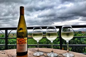 Sula Vineyards to open two tasting rooms next fiscal, hopes for good grape harvest