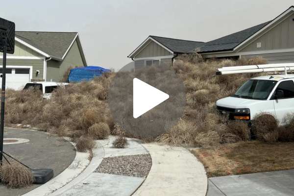 WATCH VIDEO: Utah Towns Overrun by Tumbleweeds, Highways Choked