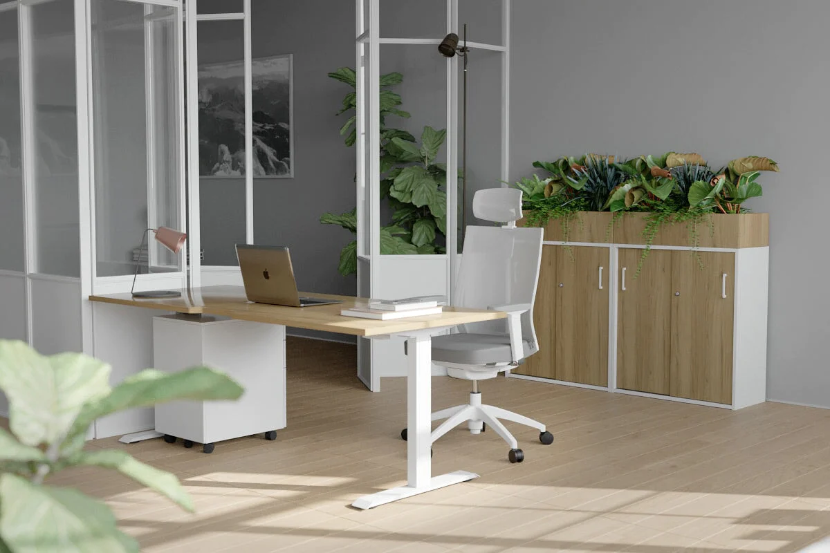 The Rise of Sit-Stand Desks