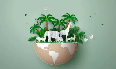 World Wildlife Day 2024 Theme, Quotes, Images, Messages, Slogans, Posters, Banners, Cliparts and Captions To Create Awareness