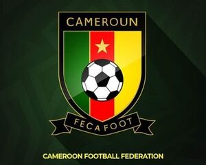 Cameroon FA says appointment of Belgian coach "regrettable"