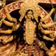 Durga Ashtami 2024: 50+ Best WhatsApp Status Videos To Download For Free