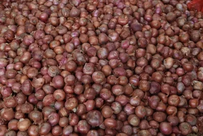 Govt allows additional 10,000 tonnes of onion exports to UAE