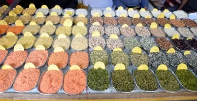 Govt warns against forward trade in pulses, imports from Myanmar being stepped up