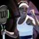 Venus Williams Net Worth 2024: How Much is the American Tennis Player Worth?