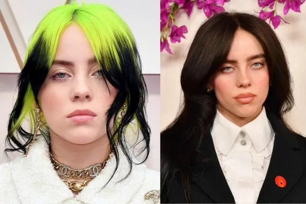 Netizens Freak Out As Billie Eilish Adds Them To Her Close Friends List