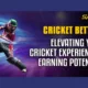Cricket Betting: Elevating Your Cricket Experience and Earning Potential