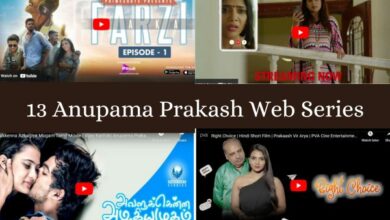 13 Anupama Prakash Web Series