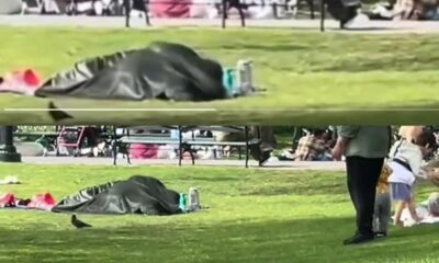 Couple Caught Indulging In Sexual Activities Under A Blanket In A Park