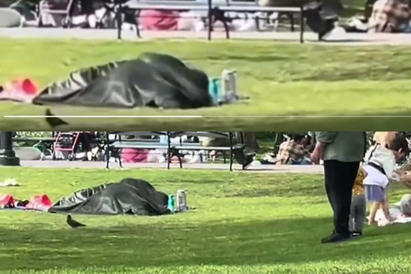 Couple Caught Indulging In Sexual Activities Under A Blanket In A Park