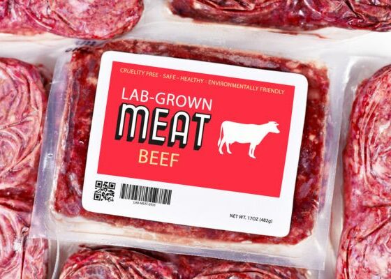 Florida Becomes The First State In The US To Ban Lab-Grown Meat Ban