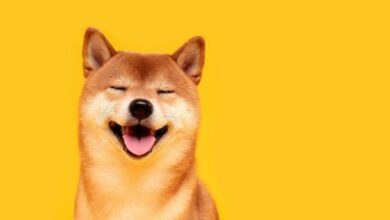 The Shiba Inu That Made Dogecoin an Icon